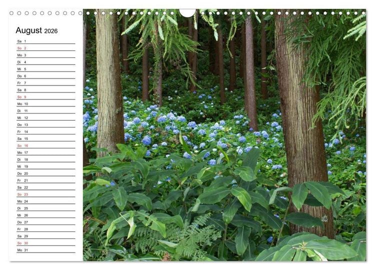 Produktbild: Azoren - S&atilde;o Miguel (Wandkalender 2026 DIN A3 quer), CALVENDO Monatskalender
