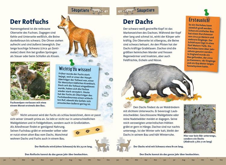Produktbild: Was lebt im Wald? Kindernaturf&uuml;hrer