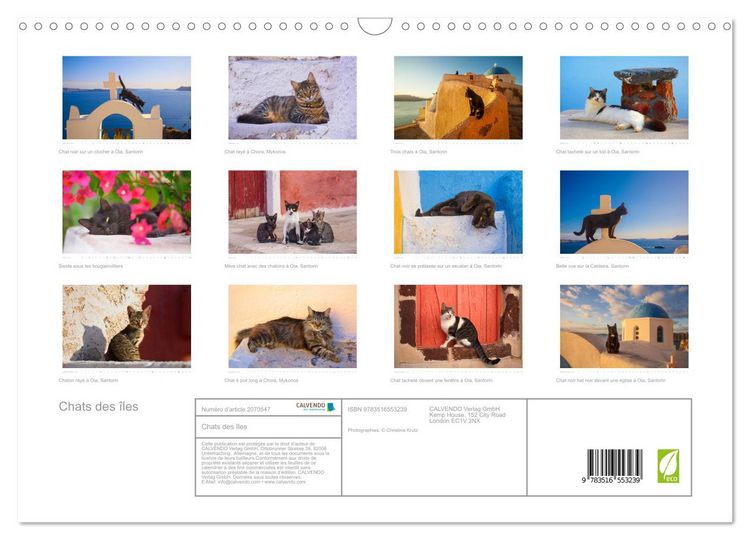 Produktbild: Chats des &icirc;les (Calendrier mural 2026 DIN A3 vertical), CALVENDO calendrier mensuel