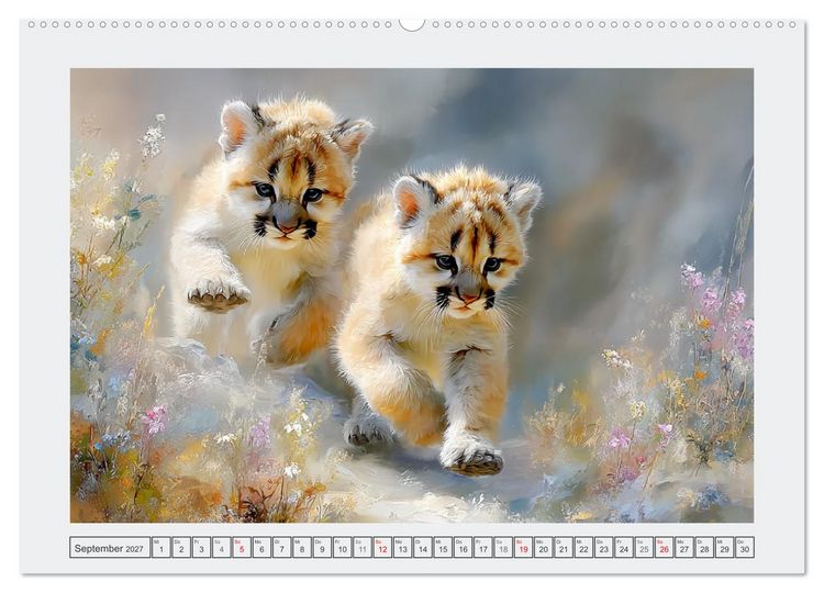 Produktbild: Pumababys. Verspielte Bergl&ouml;wenkinder in der Natur (hochwertiger Premium Wandkalender 2027 DIN A2 quer), Kunstdruck in Hochglanz