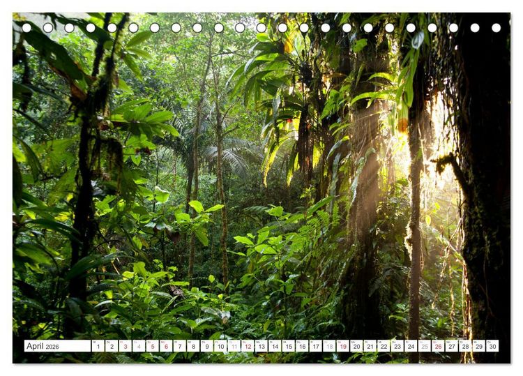 Produktbild: Faszination Naturwunder (Tischkalender 2026 DIN A5 quer), CALVENDO Monatskalender