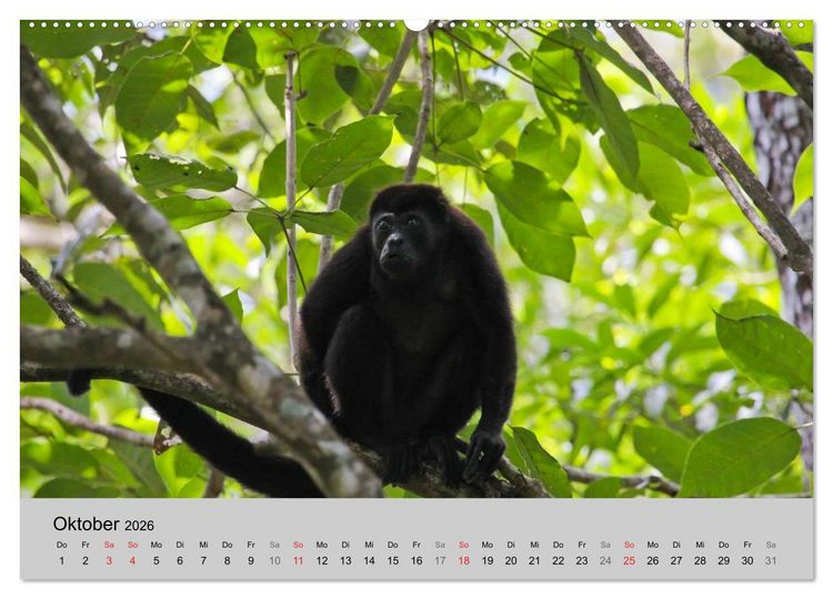 Produktbild: Costa Rica (Wandkalender 2026 DIN A2 quer), CALVENDO Monatskalender