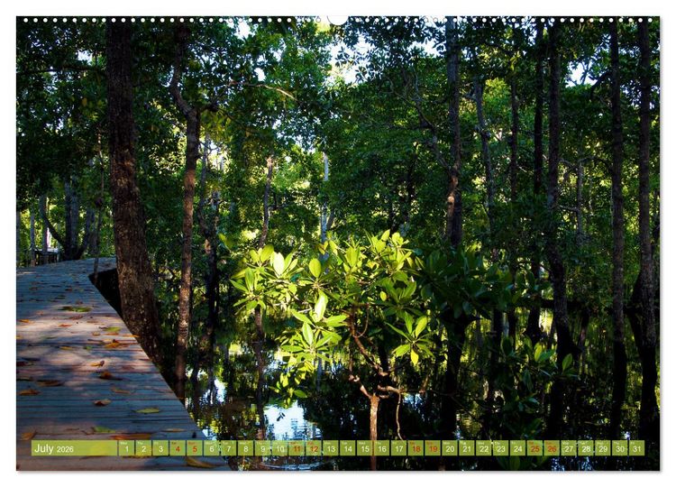 Produktbild: Mangroves - Valuable Habitat (High Quality Premium Wall Calendar 2026 DIN A2 landscape),CALVENDO 12 Month Wall Calendar