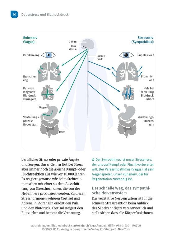 Produktbild: Bluthochdruck senken durch Yoga-Atmung