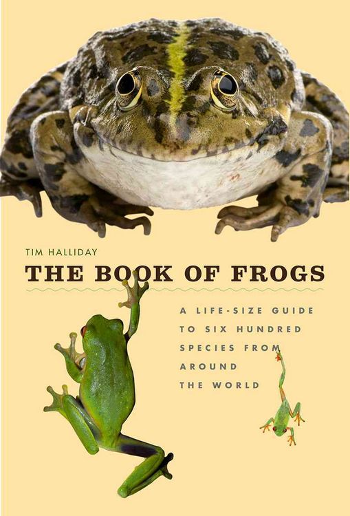 Produktbild: The Book of Frogs