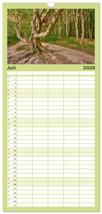 Produktbild: Familienplaner 2026 - R&uuml;gen - Jasmund Nationalpark mit 5 Spalten (Wandkalender, 21 x 45 cm) CALVENDO