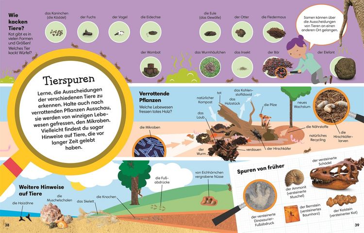 Produktbild: 1000 erste W&ouml;rter. Natur