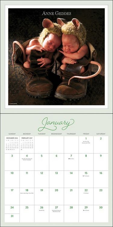 Produktbild: Anne Geddes 2027 &ndash; Wandkalender
