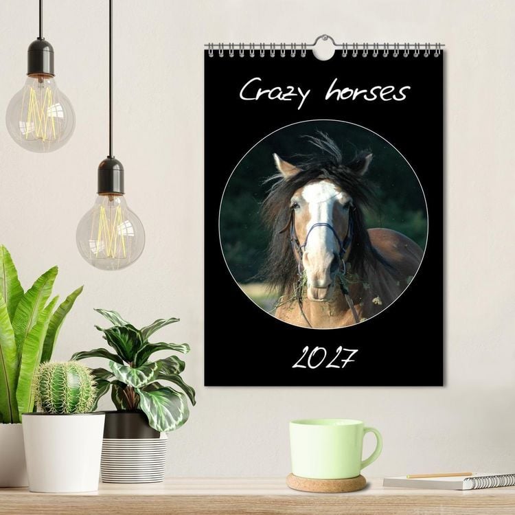 Produktbild: Crazy horses (Wandkalender 2027 DIN A4 hoch), CALVENDO Monatskalender