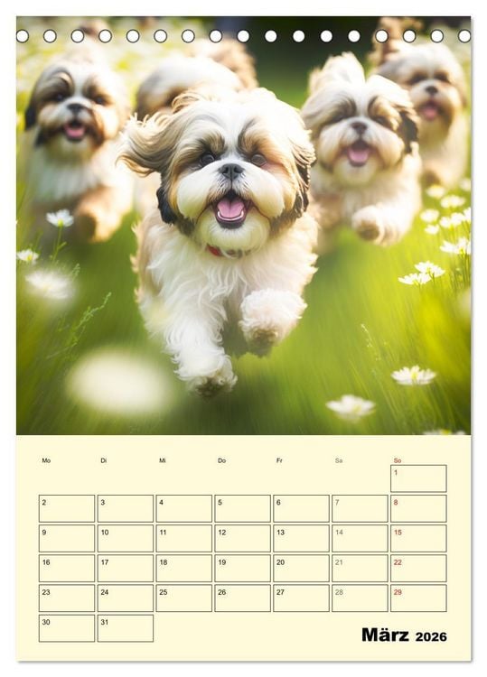 Produktbild: Shih Tzu Alarm. Gl&uuml;ckliche Wuschelk&ouml;pfe (Tischkalender 2026 DIN A5 hoch), CALVENDO Monatskalender