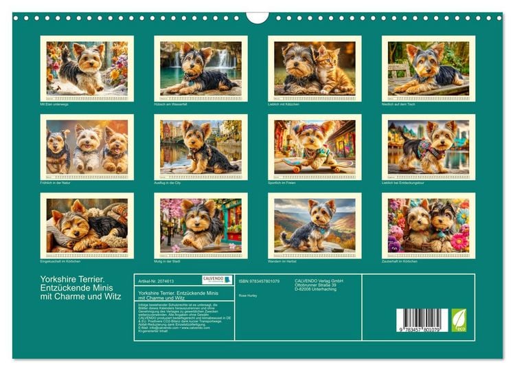 Produktbild: Yorkshire Terrier. Entz&uuml;ckende Minis mit Charme und Witz (Wandkalender 2026 DIN A3 quer), CALVENDO Monatskalender