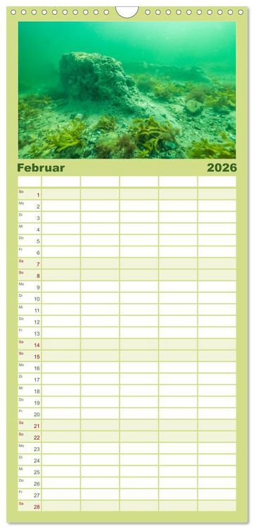 Produktbild: Familienplaner 2026 - Unter Wasser rund um Fehmarn mit 5 Spalten (Wandkalender, 21 x 45 cm) CALVENDO