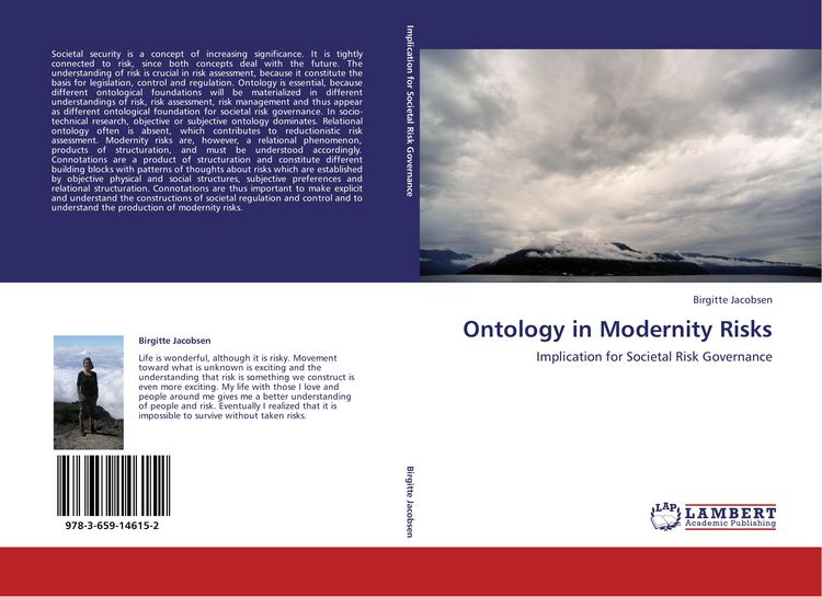 Produktbild: Ontology in Modernity Risks