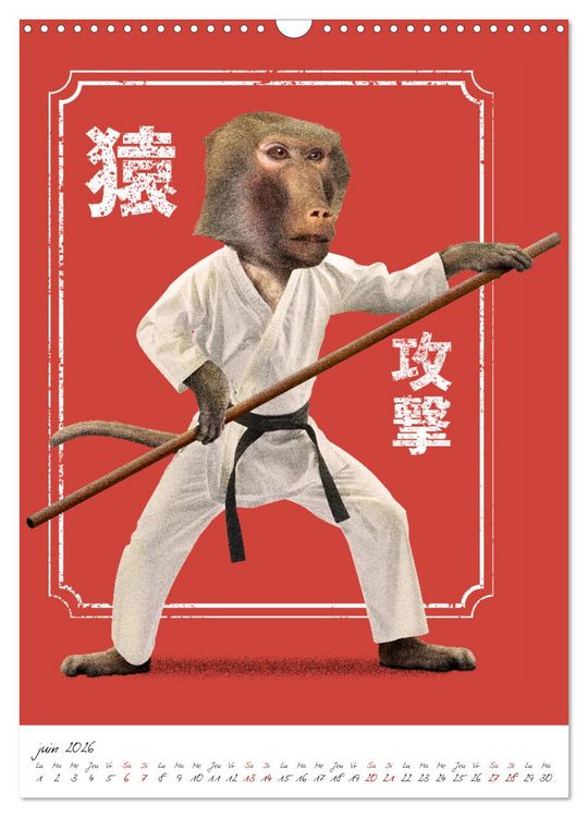 Produktbild: Combattant animal (Calendrier mural 2026 DIN A3 horizontal), CALVENDO calendrier mensuel