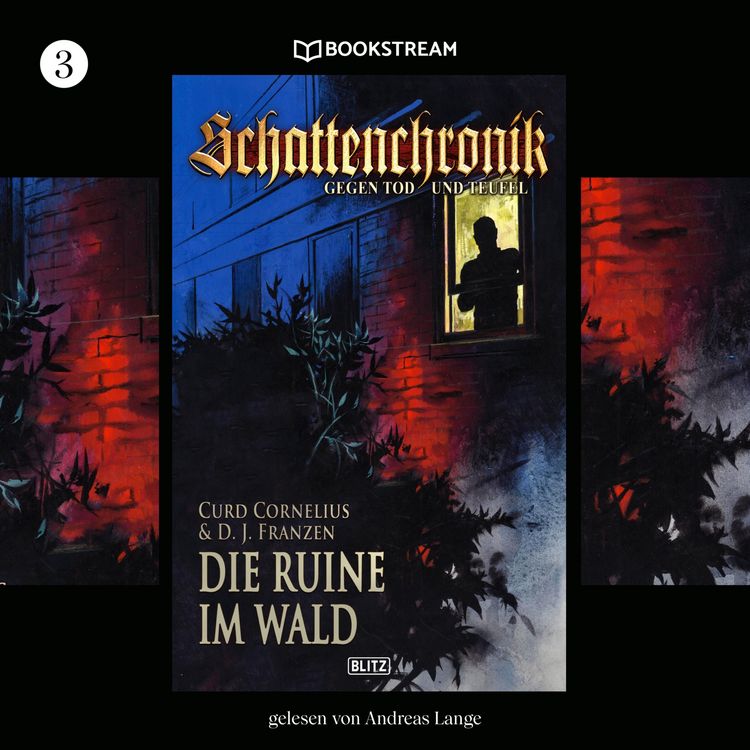 Produktbild: Schattenchronik, Folge 3: Die Ruine im Wald