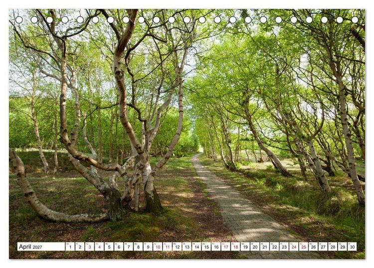 Produktbild: Baltrum - Momente einer Reise (Tischkalender 2027 DIN A5 quer), CALVENDO Monatskalender