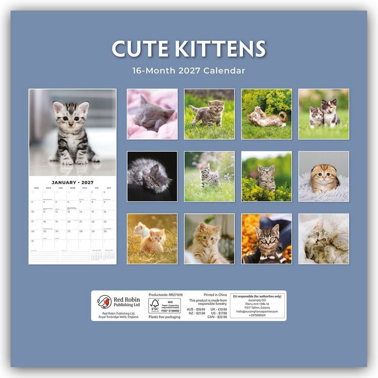 Produktbild: Cute Kittens &ndash; Niedliche K&auml;tzchen 2027 &ndash; 16-Monatskalender