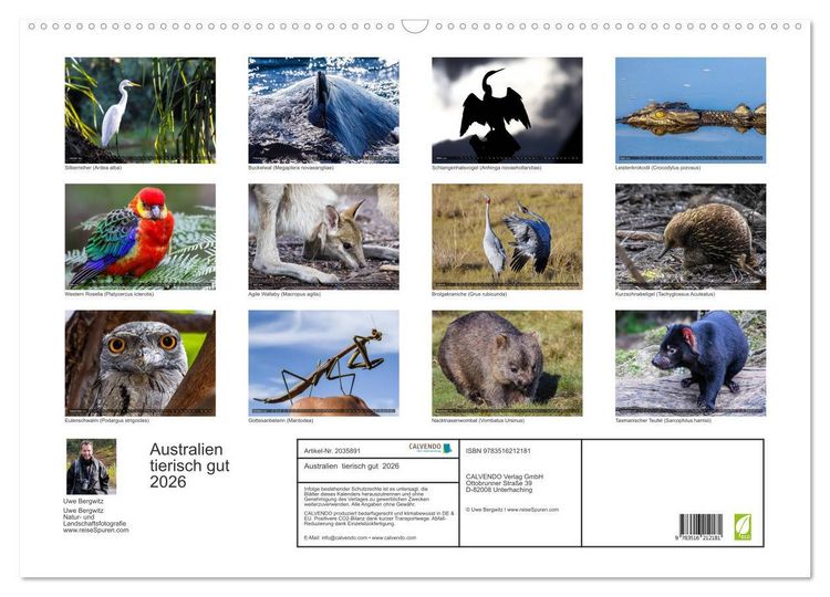Produktbild: Australien tierisch gut 2026 (Wandkalender 2026 DIN A2 quer), CALVENDO Monatskalender