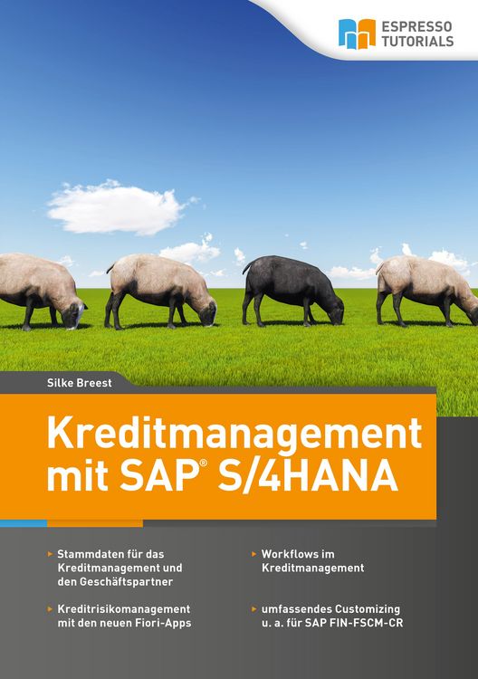 Produktbild: Kreditmanagement mit SAP S/4HANA