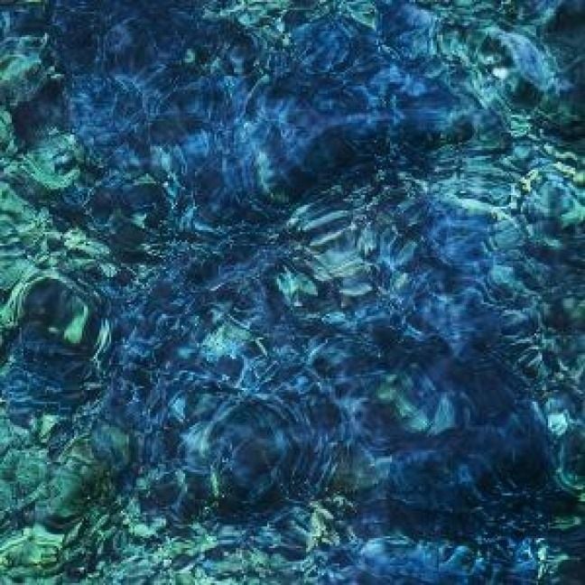 Produktbild: Luminescent Creatures