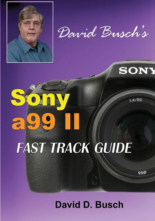 Produktbild: David Busch's Sony Alpha A99 Ii Fast Track Guide