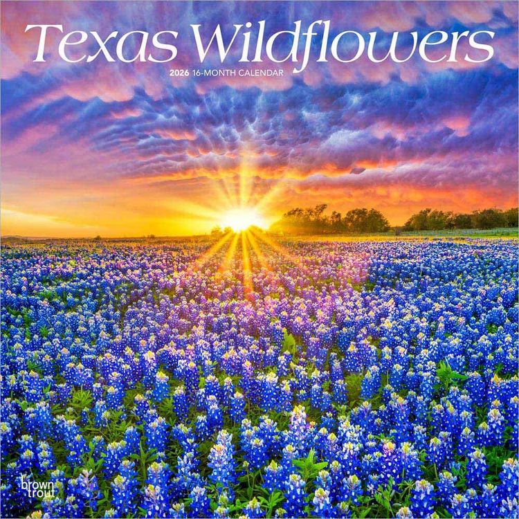 Produktbild: Texas Wildflowers 2026 12 X 24 Inch (Hanging) Monthly Square Wall Calendar Plastic-Free
