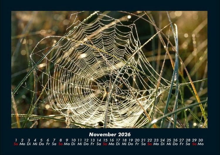 Produktbild: Natur 2026 Fotokalender DIN A4