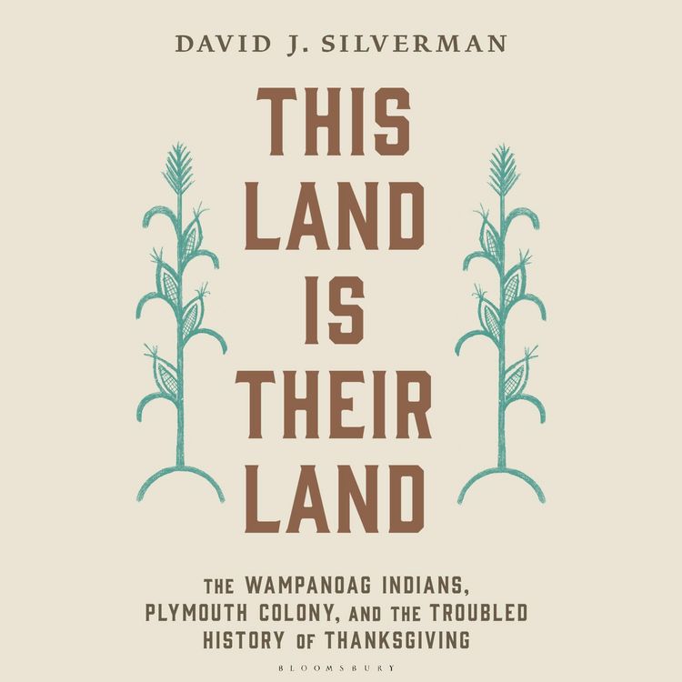 Produktbild: This Land Is Their Land