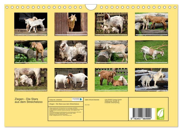 Produktbild: Ziegen - Die Stars aus dem Streichelzoo (Wandkalender 2026 DIN A4 quer), CALVENDO Monatskalender