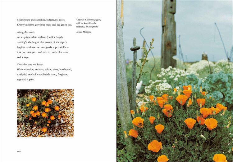 Produktbild: Derek Jarman's Garden
