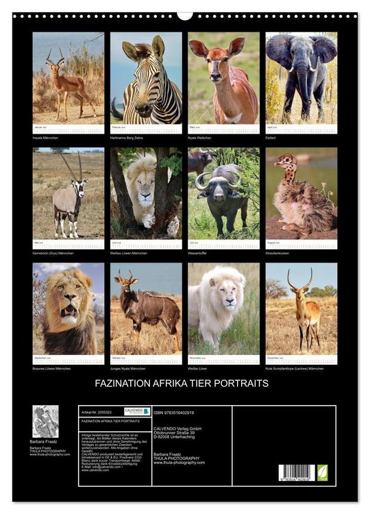 Produktbild: FAZINATION AFRIKA TIER PORTRAITS (Wandkalender 2026 DIN A2 hoch), CALVENDO Monatskalender
