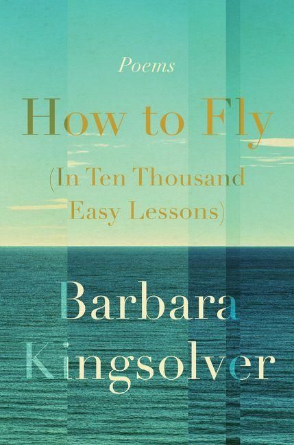 Produktbild: How to Fly (in Ten Thousand Easy Lessons)
