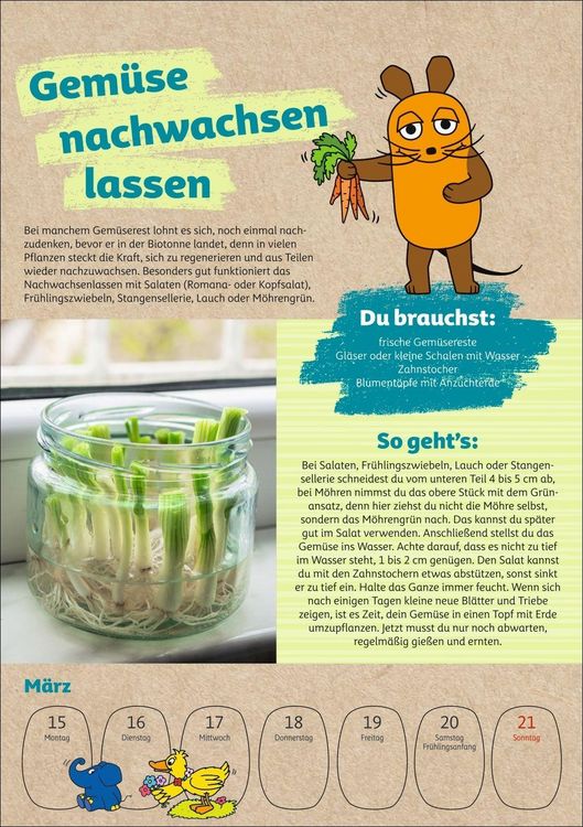 Produktbild: Sch&uuml;tze die Erde mit der Maus Kalender 2027 - Wochenplaner