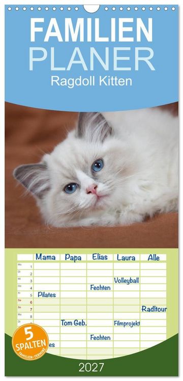 Produktbild: Familienplaner 2027 - Ragdoll Kitten mit 5 Spalten (Wandkalender, 21 x 45 cm) CALVENDO