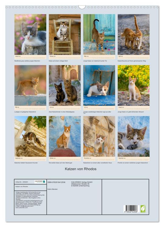 Produktbild: Katzen von Rhodos (Wandkalender 2026 DIN A2 hoch), CALVENDO Monatskalender