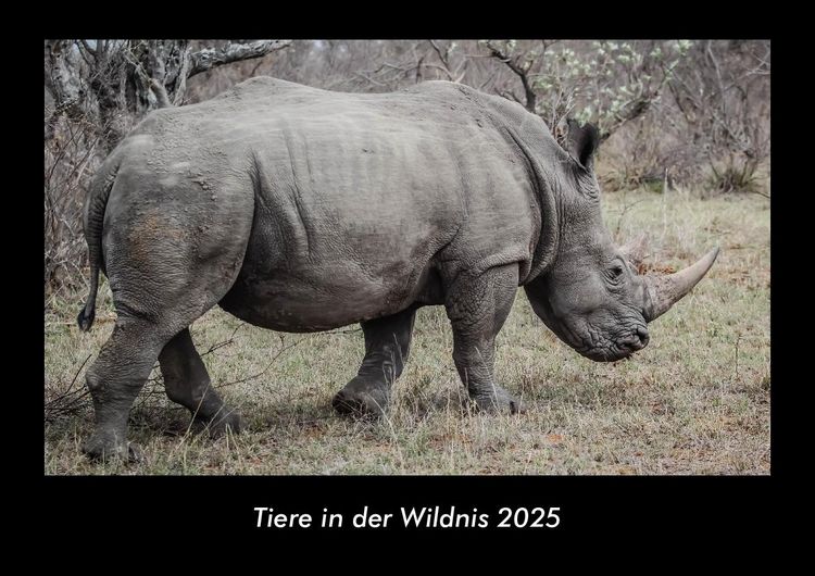 Produktbild: Tiere in der Wildnis 2025 Fotokalender DIN A3