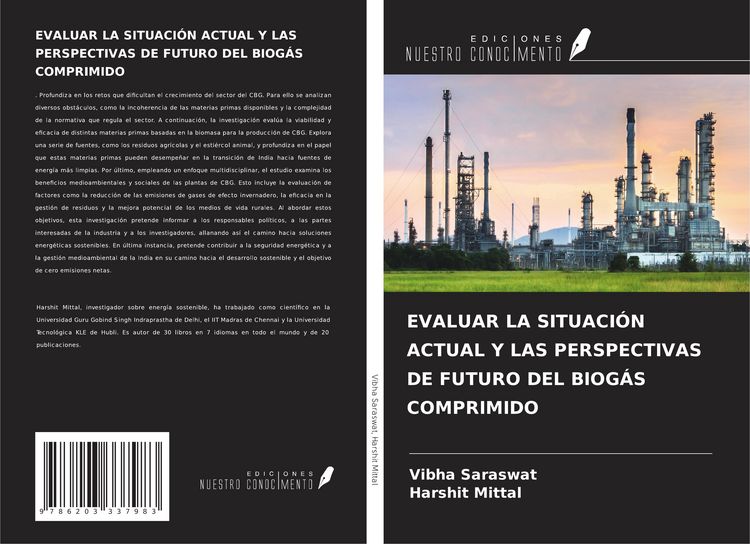 Produktbild: Evaluar La Situaci&oacute;n Actual Y Las Perspectivas De Futuro Del Biog&aacute;s Comprimido
