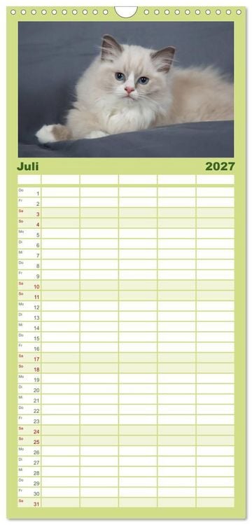 Produktbild: Familienplaner 2027 - Ragdoll Kitten mit 5 Spalten (Wandkalender, 21 x 45 cm) CALVENDO
