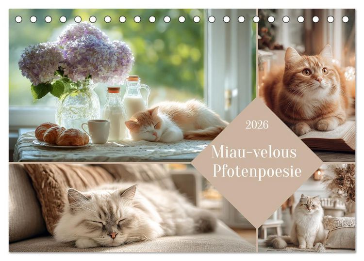 Produktbild: Miau-velous Pfotenpoesie (Tischkalender 2026 DIN A5 quer), CALVENDO Monatskalender