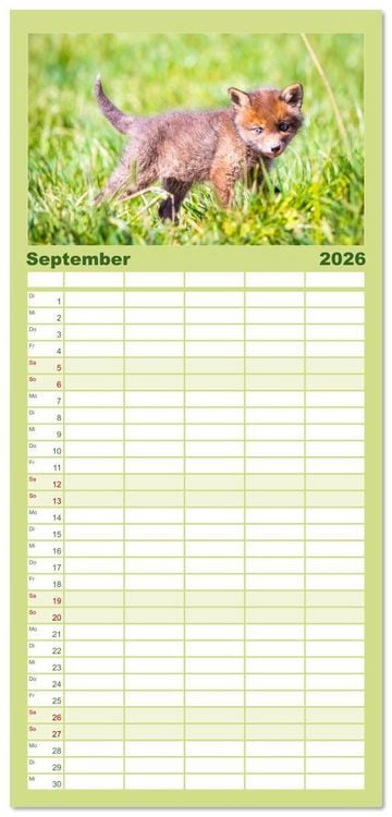 Produktbild: Familienplaner 2026 - Verspielte Fuchswelpen - Allein zu Haus' mit 5 Spalten (Wandkalender, 21 x 45 cm) CALVENDO