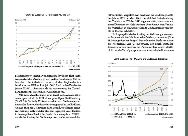 Produktbild: Das Inflationsgespenst