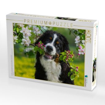 Produktbild: CALVENDO Puzzle Ein Motiv aus dem Kalender Treuer Freund Berner Sennenhund | 1000 Teile Lege-Gr&ouml;&szlig;e 64x48cm Foto-Puzzle f&uuml;r gl&uuml;ckliche Stunden