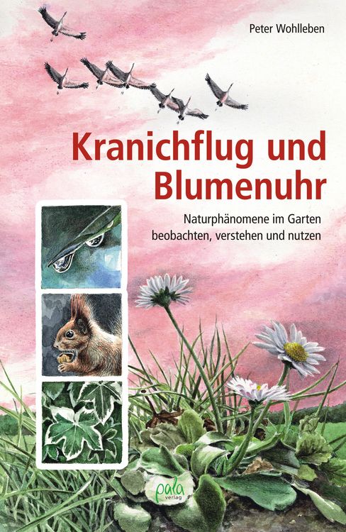Produktbild: Kranichflug und Blumenuhr