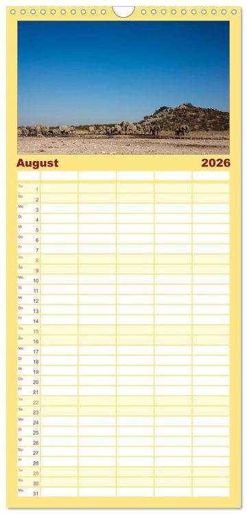 Produktbild: Familienplaner 2026 - Wildes Namibia mit 5 Spalten (Wandkalender, 21 x 45 cm) CALVENDO