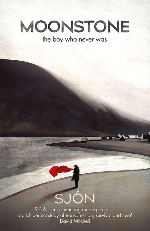 Produktbild: Moonstone: The Boy Who Never Was