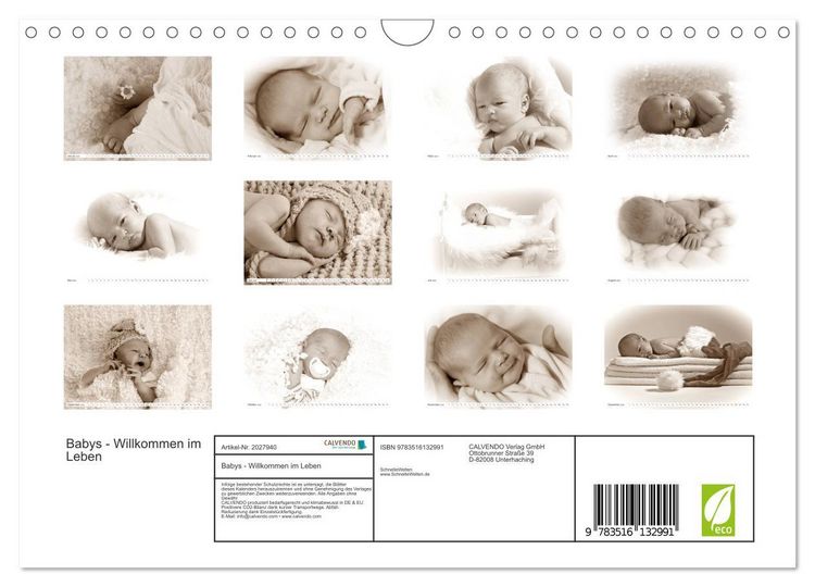 Produktbild: Babys - Willkommen im Leben (Wandkalender 2026 DIN A4 quer), CALVENDO Monatskalender