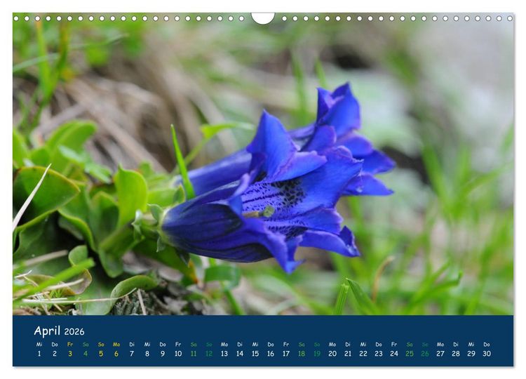 Produktbild: Bergwelt Hohe Tauern - Wandergenuss in alpiner Landschaft (Wandkalender 2026 DIN A3 quer), CALVENDO Monatskalender