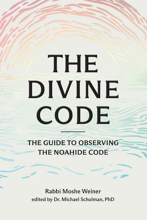 Produktbild: The Divine Code