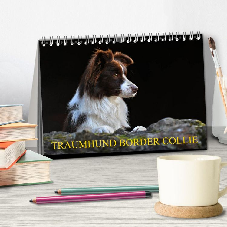 Produktbild: Traumhund Border Collie (Tischkalender 2026 DIN A5 quer), CALVENDO Monatskalender