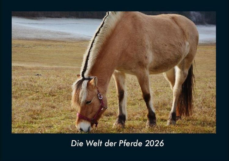 Produktbild: Die Welt der Pferde 2026 Fotokalender DIN A4